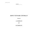 Tài liệu Joint venture contract pdf
