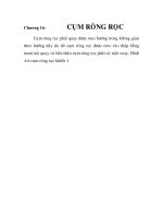 Tài liệu Tính toán cần cẩu Derrick tải trọng nâng 3T dùng cho tàu thủy - Chương 16: cụm ròng rọc docx