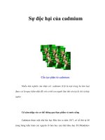 Tài liệu Sự độc hại của cadmium pdf