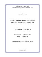 Nâng cao năng lực cạnh tranh của ngành trái cây việt nam 