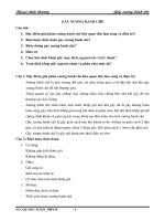 Tài liệu Ngoại chấn thương: Gãy xương bánh chè ppt