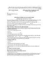 Mẫu đơn đăng ký khoản cho vay ra nước ngoài - Mẫu đơn đăng ký