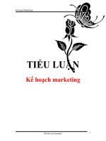 Tài liệu Tiểu luận 