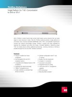 Tài liệu Single Platform For T1/E1 Concentration to DS3 or STS-1 pptx