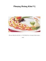 Tài liệu Phượng Hoàng Khai Vị pdf