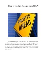 Tài liệu Công ty của bạn đáng giá bao nhiêu? doc