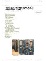 Tài liệu Routing and Switching CCIE Lab Preparation Guide pptx