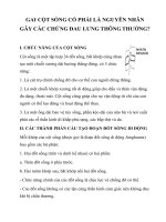 Tài liệu GAI CỘT SỐNG CÓ PHẢI LÀ NGUYÊN NHÂN GÂY CÁC CHỨNG ĐAU LƯNG THÔNG THƯỜNG? docx