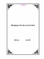 Tài liệu Bài giảng: Các hệ cơ sở trí thức doc