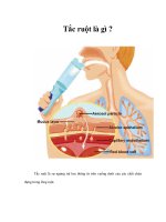 Tài liệu Tắc ruột là gì ? doc