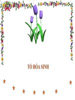 Tài liệu BÀI GIẢNG SINH HỌC - HÔ HẤP doc