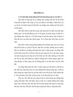 Tài liệu Tiểu luận triết P113 doc