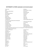 Tài liệu WWEI phase II pdf