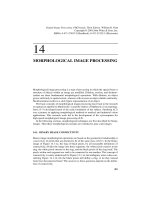 Tài liệu Xử lý hình ảnh kỹ thuật số P14 pdf