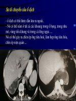 Tài liệu CT Viêm tuỵ cấp (Phần 7 và hết) doc