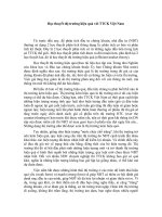 Tài liệu Học thuyết thị trường hiệu quả với TTCK Việt Nam ppt