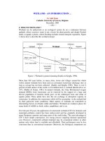 Tài liệu Wetland - An introduction docx