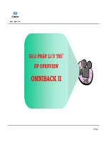 Tài liệu Giải pháp - Lưu trữ của HP OmNiback 2 doc