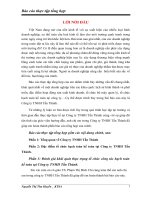 Đặc điểm tổ chức hạch toán kế toán tại công ty TNHH tấn thành 