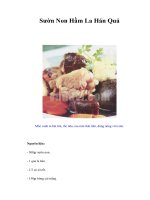 Tài liệu Sườn Non Hầm La Hán Quả ppt