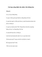 Tài liệu Gia hạn năng định cho nhân viên không lưu docx