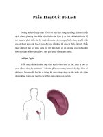 Tài liệu Giáo Trình Phẫu Thuật Cắt Bỏ Lách doc