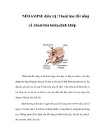 Tài liệu NÉOAMINE điêu trị :Thoái hóa đốt sống cổ ,thoái hóa khớp,dính khớp pptx