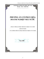 Tài liệu PHƯƠNG ÁN CỔ PHẦN HÓA DOANH NGHIỆP NHÀ NƯỚC pdf