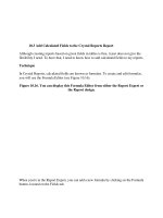 Tài liệu Add Calculated Fields to the Crystal Reports Report ppt