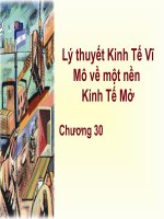 kinh tế vĩ mô-lý thuyết kinh tế vĩ mô về nền kinh tế mở