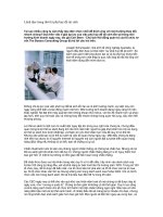 Tài liệu Lãnh đạo trong thời kì phá huỷ để tái sinh pdf