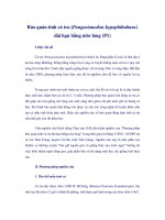 Tài liệu Bảo quản tinh cá tra (Pangasianodon hypophthalmus) dài hạn bằng nitơ lỏng (P1) I. doc