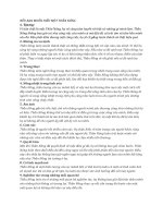 NẾU BẠN MUỐN HIỂU MỘT THẦN NÔNG 