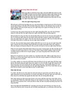 Tài liệu Mở cửa dịch vụ ngân hàng: Nhận diện bất cập! pdf