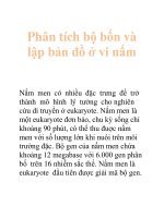 Tài liệu Phân tích bộ bốn và lập bản đồ ở vi nấm pdf
