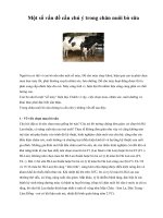 Tài liệu Một số vấn đề cần chú ý trong chăn nuôi bò sữa pptx