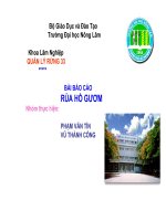 Tài liệu Bài báo cáo: Rùa Hồ Gươm ppt