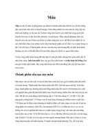 Tài liệu Máu pptx