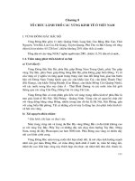 Tài liệu Chương 8: Tổ chức lãnh thổ các vùng kinh tế ở Việt Nam docx