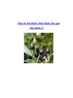 Tài liệu Món ăn bài thuốc chữa bệnh viên gan cấp (phần 1) pdf