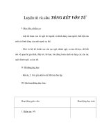 Tài liệu Luyện từ và câu - TỔNG KẾT VỐN TỪ (2) doc