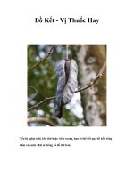 Tài liệu Bồ Kết - Vị Thuốc Hay docx