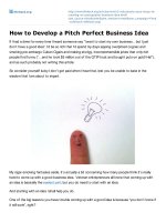 How to develop a pitch perfect business idea 