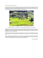 Nét đẹp ruộng bậc thang chuôr 