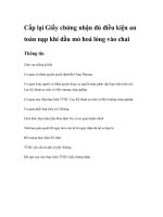 Tài liệu Cấp lại Giấy chứng nhận đủ điều kiện an toàn nạp khí dầu mỏ hoá lỏng vào chai ppt