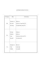 Tài liệu Gíao án tuần 28 pdf