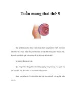 Tài liệu Tuần mang thai thứ 5 ppt