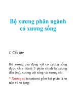 Tài liệu Bộ xương phân ngành có xương sống doc