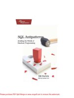 Tài liệu SQL Antipatterns- P1 docx