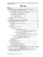 Tài liệu luận văn tốt nghiệp 